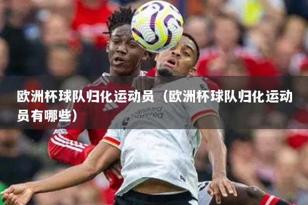 欧洲杯球队归化运动员（欧洲杯球队归化运动员有哪些）