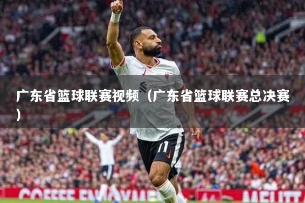 广东省篮球联赛视频（广东省篮球联赛总决赛）