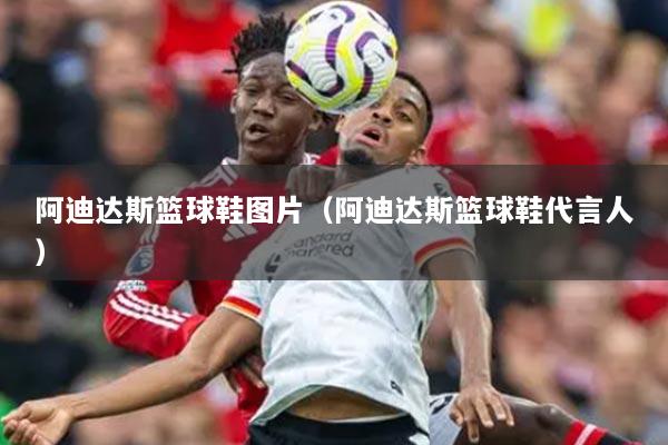 阿迪达斯篮球鞋图片（阿迪达斯篮球鞋代言人）