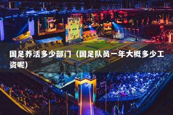 国足养活多少部门（国足队员一年大概多少工资呢）