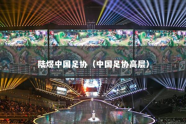 陆煜中国足协（中国足协高层）