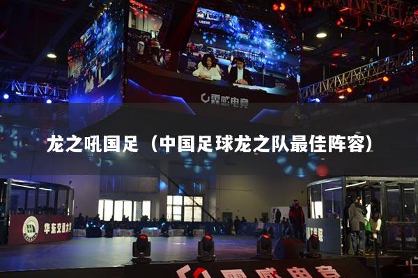 龙之吼国足（中国足球龙之队最佳阵容）