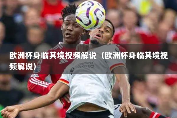 欧洲杯身临其境视频解说（欧洲杯身临其境视频解说）