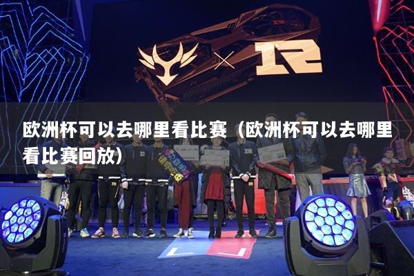 欧洲杯可以去哪里看比赛（欧洲杯可以去哪里看比赛回放）