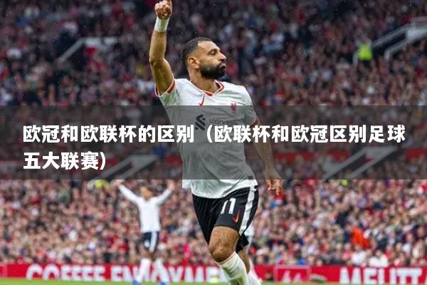 欧冠和欧联杯的区别（欧联杯和欧冠区别足球五大联赛）